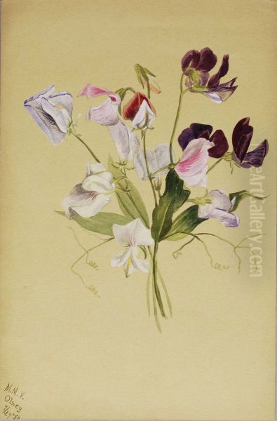 (Untitled--Flower Study) - view 1