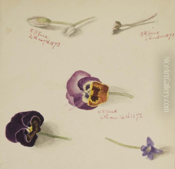 (Untitled--Flower Study) - view 1