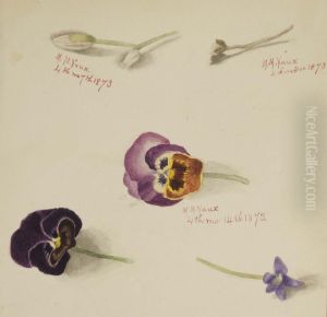 (Untitled--Flower Study)