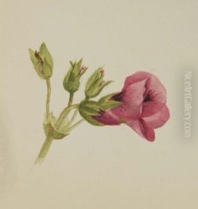 (Untitled)