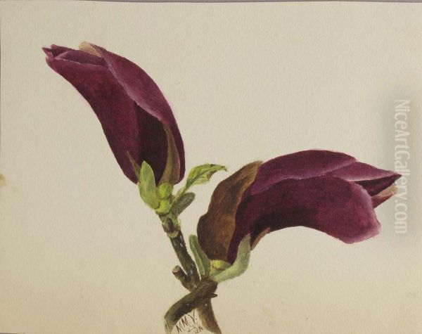 (Untitled--Flower Study) - view 1