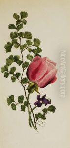 Pink Rose with Violet