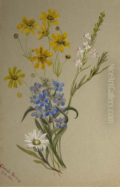 (Untitled, Group of Flowers) - view 1