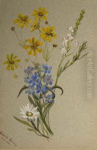 (Untitled, Group of Flowers) by Mary Vaux Walcott