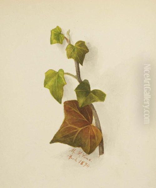 Untitled (Ivy) - view 1