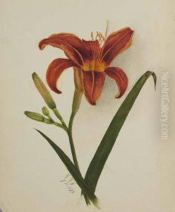 Untitled (Lily)