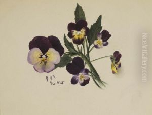 Untitled (Pansies) Untitled (Pansies)