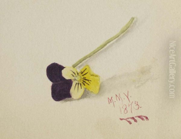 Untitled (Pansy) - view 1