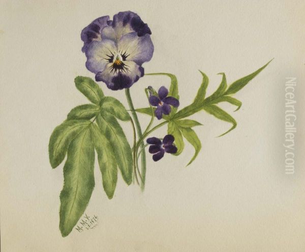 Untitled (Pansy) - view 1