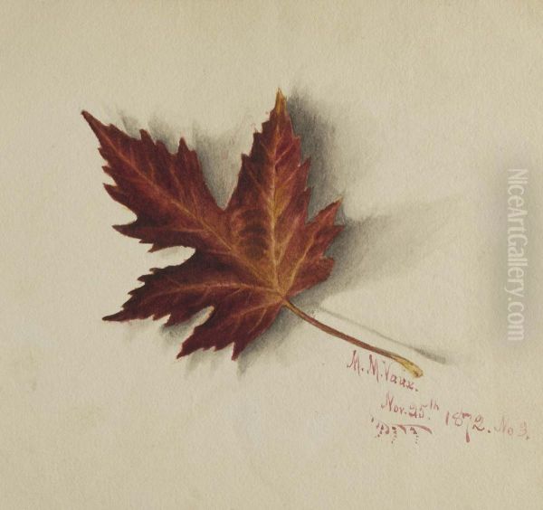 Untitled (Autumn Leaf) - view 1