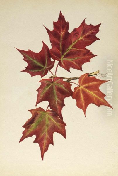 Untitled (Autumn Leaves) - view 1