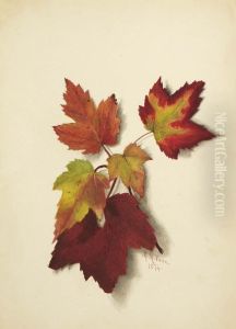 Untitled (Autumn Leaves) Untitled (Autumn Leaves)
