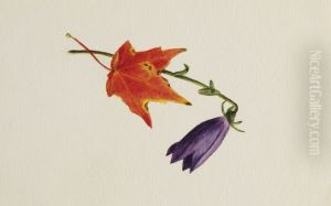 (Untitled)