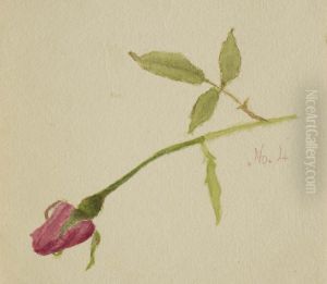 Untitled (Rose) by Mary Vaux Walcott
