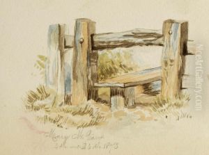 Untitled (Stile) by Mary Vaux Walcott
