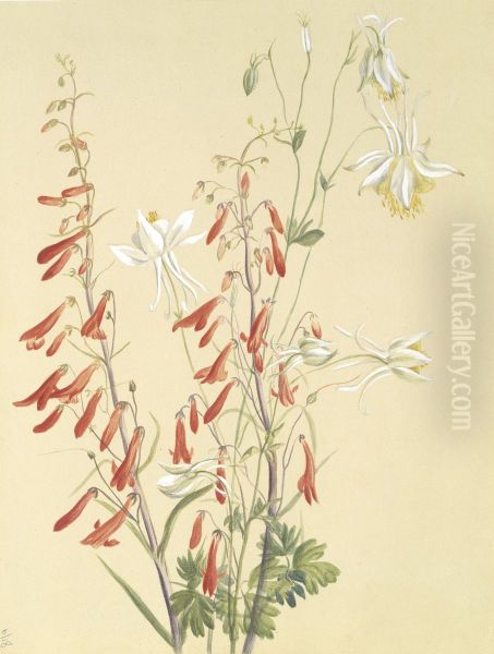 Untitled--Flower Study - view 1