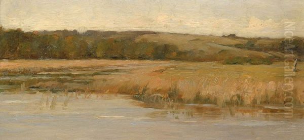 Hill and Marshland - view 1