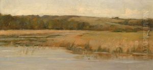 Hill and Marshland by Max Weyl