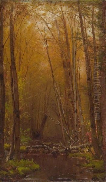 The Birches of the Catskills - view 1