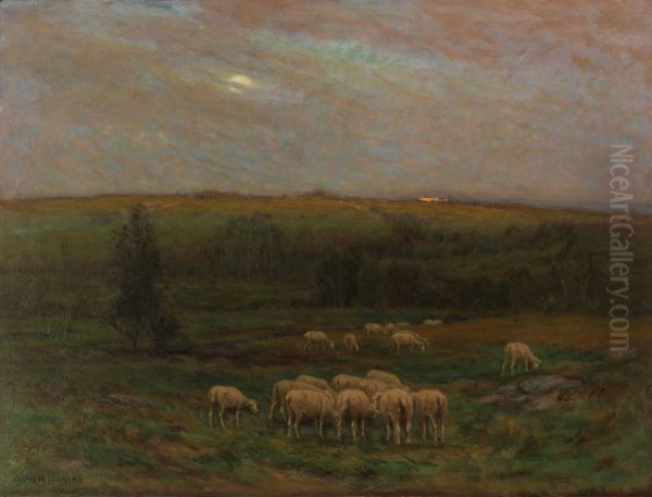 Evening after a Shower - view 1