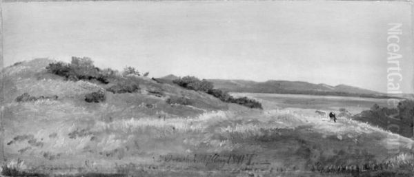 View near Orkesholm, Zealand - view 1