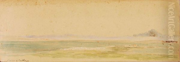 Plains of Carthage - view 1