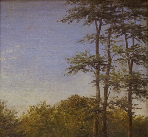 Study of Undergrowth and Tall Trees, Funen - view 1