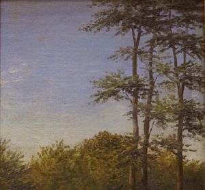 Study of Undergrowth and Tall Trees, Funen