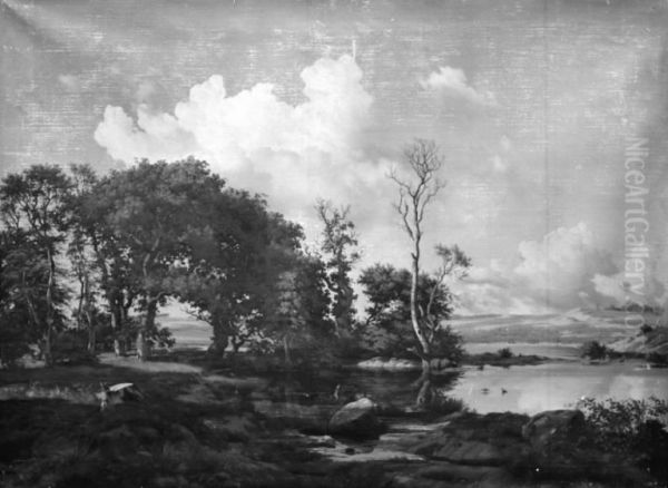 Skovrigt landskab - view 1