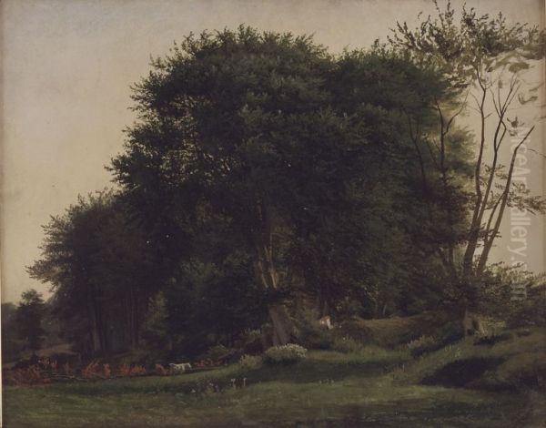 Skovlysning med kvaeg - view 1