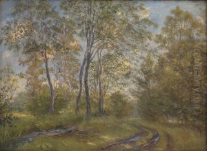 A River near Meilgard Manor, Jutland