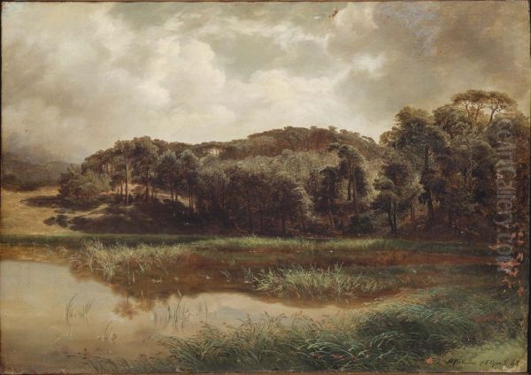 Lake at the Edge of a Forest - view 1