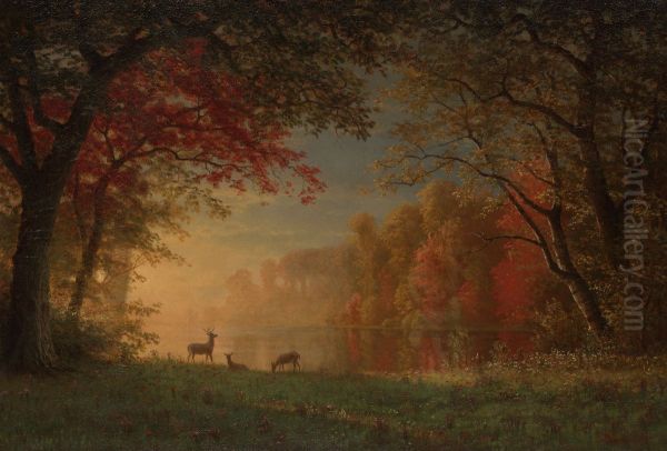 Deer by a Lake - view 1