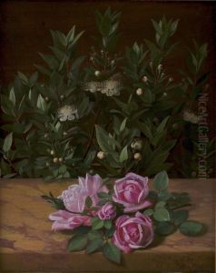 Roses and Myrtles