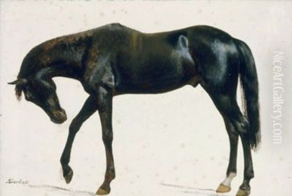 Black Horse - view 1