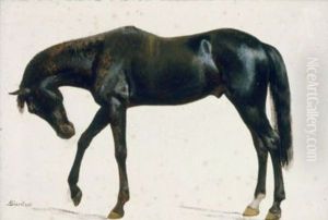 Black Horse by Albert Bierstadt