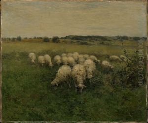 Sheep Grazing in an Open Field by Anton Mauve