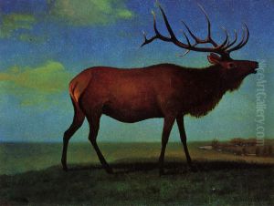 Bull Elk by Albert Bierstadt