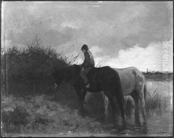 Horses Drinking - view 1