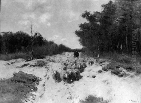 Shepherd and Sheep on a Woodland Road - view 1