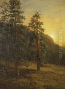 California Redwoods by Albert Bierstadt