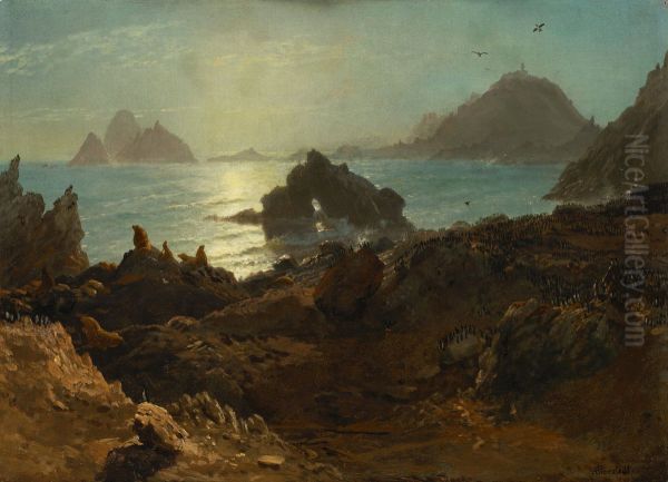 Farallon Islands, Pacific Ocean, California - view 1