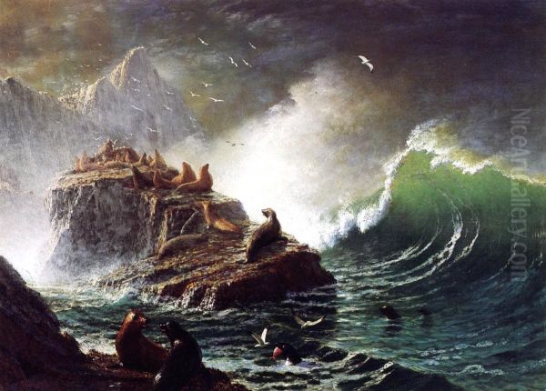 Seals on the Rocks, Farallon Islands - view 1