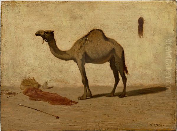 Camel - view 1