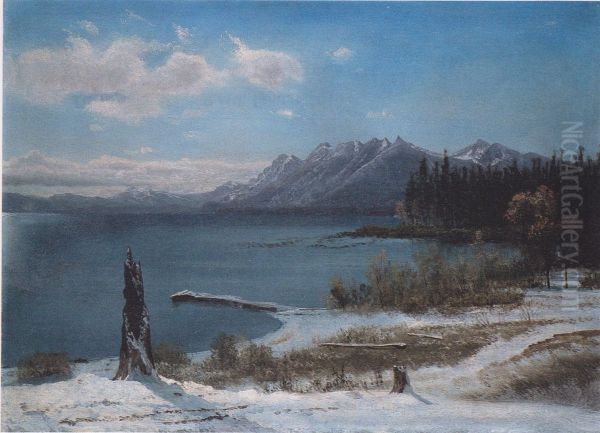 Winterlicher Lake Tahoe - view 1
