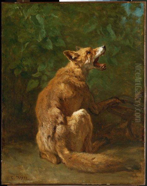 Fox in a Trap - view 1