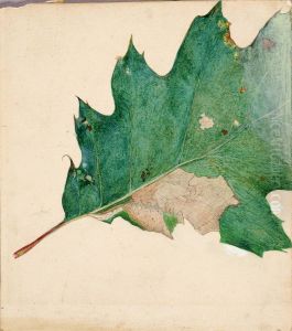 Oligocentra Lignicolor, Walker, study for book Concealing Coloration in the Animal Kingdom by Abbott Handerson Thayer