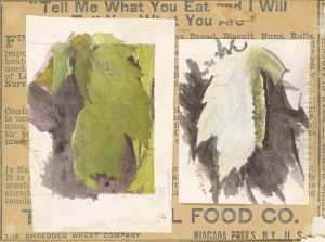 Heterocampa Biundata, Walker, study for book Concealing Coloration in the Animal Kingdom