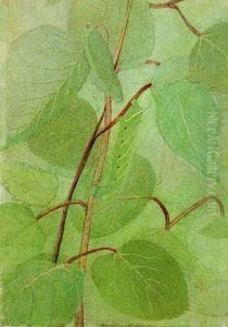 Sphinx Caterpillar, study for book Concealing Coloration in the Animal Kingdom by Abbott Handerson Thayer