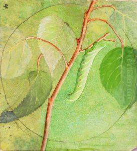 Sphinx Caterpillar, study for book Concealing Coloration in the Animal Kingdom